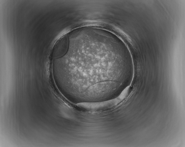 X0000116651411200912211438