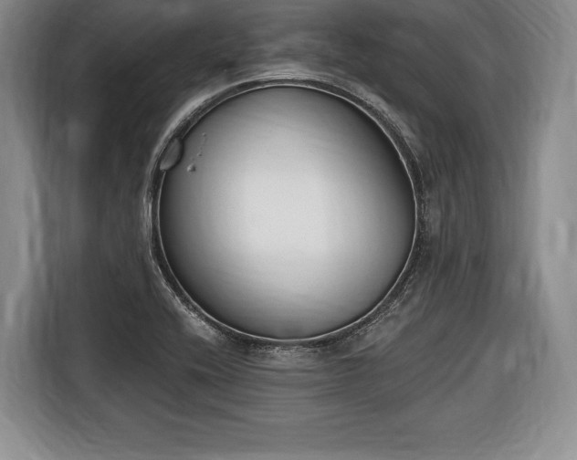X0000116651416200912211438