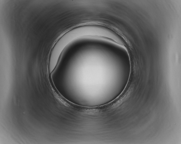 X0000116651417200912211438