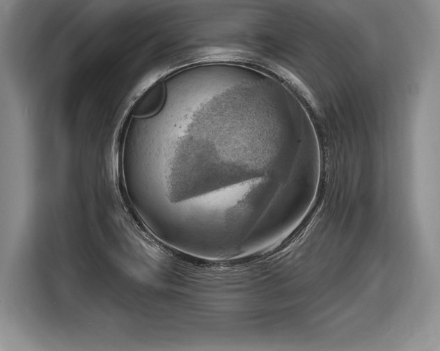X0000116651419200912211438