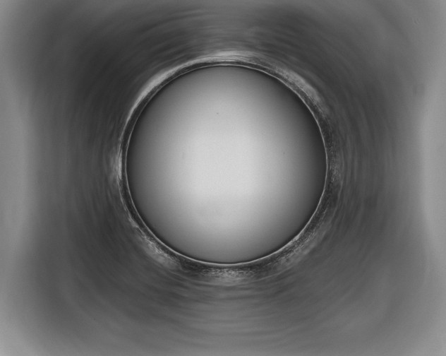 X0000116651420200912211438