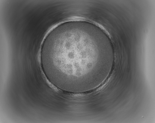 X0000116651421200912211438
