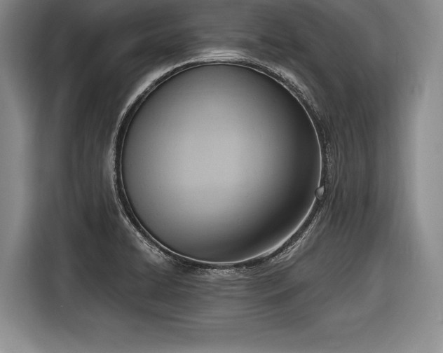 X0000116651422200912211438