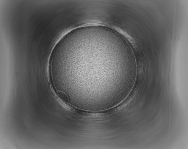 X0000116651423200912211438