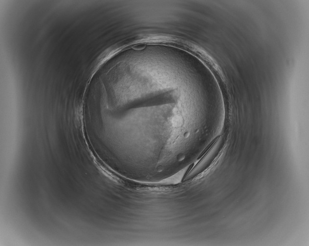 X0000116651425200912211438