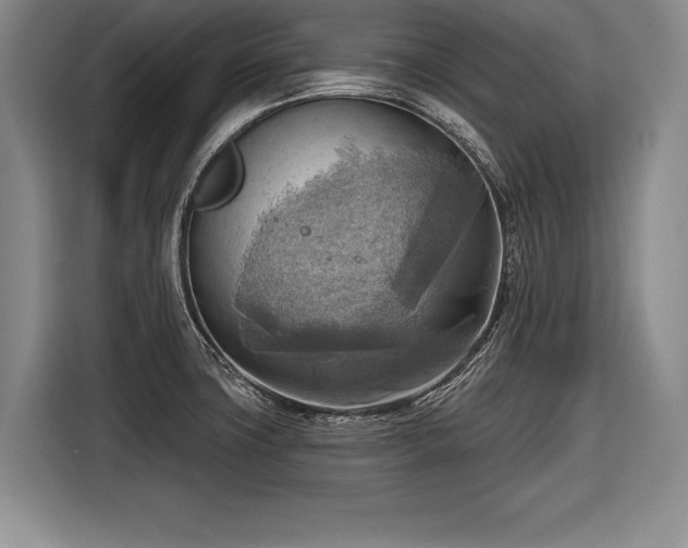 X0000116651427200912211438