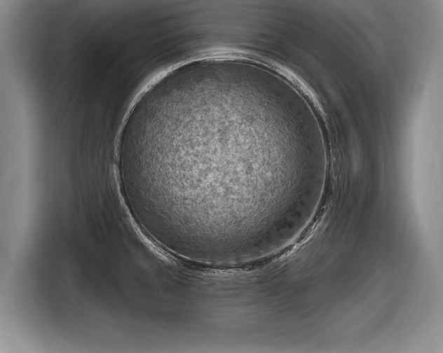 X0000116651429200912211438
