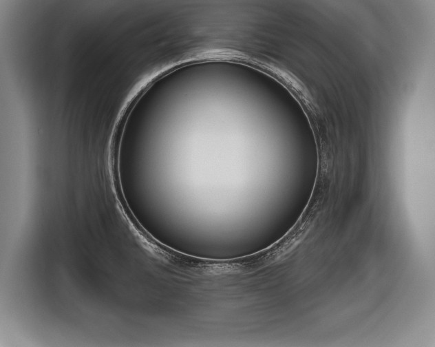 X0000116651430200912211438