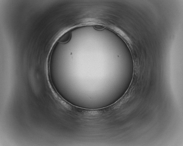 X0000116651431200912211438