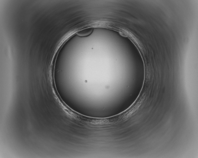 X0000116651434200912211438