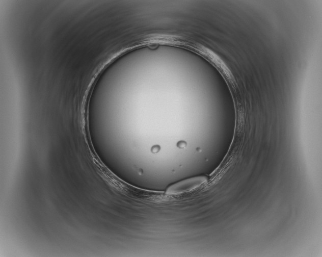 X0000116651435200912211438