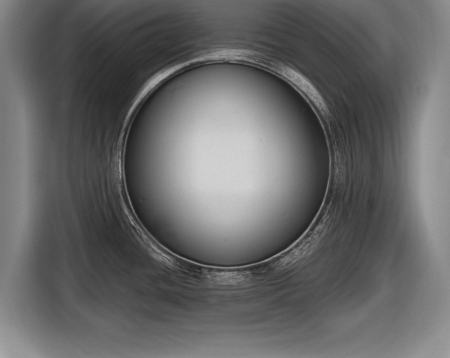 X0000116651436200912211438