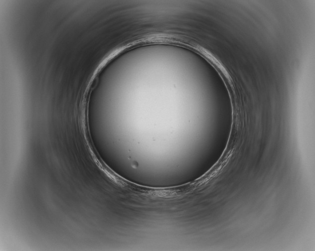 X0000116651437200912211438