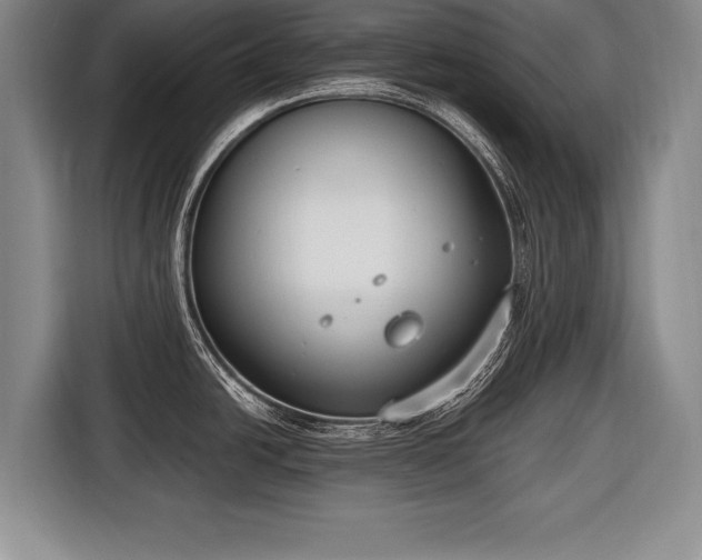 X0000116651438200912211438