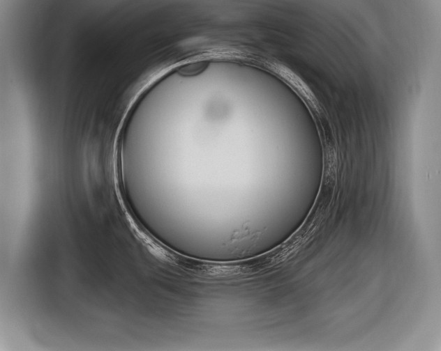 X0000116651439200912211438