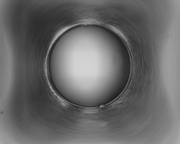 X0000116651440200912211438