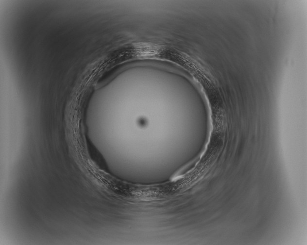 X0000116651441200912211438