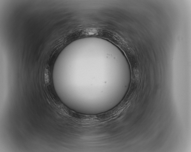 X0000116651442200912211438