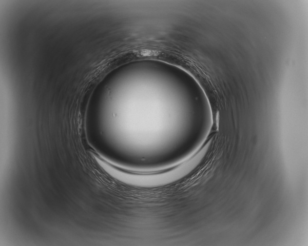 X0000116651443200912211438
