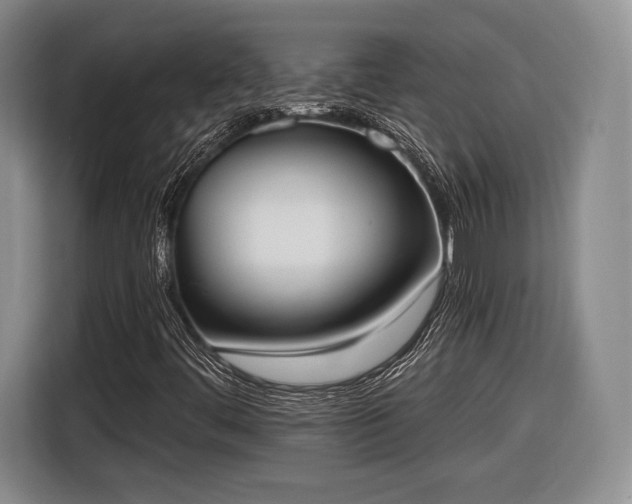 X0000116651444200912211438