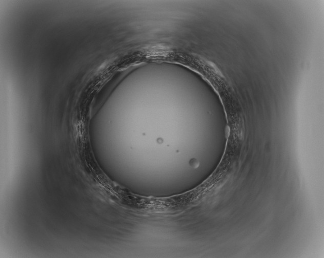 X0000116651445200912211438