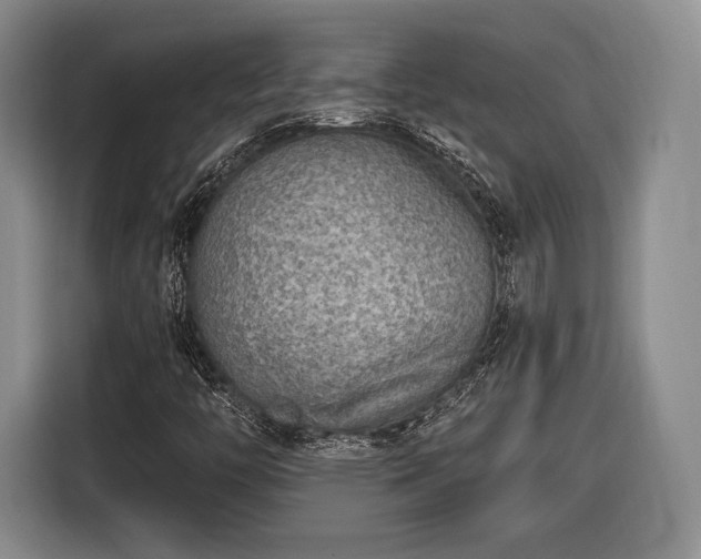 X0000116651446200912211438