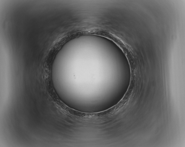 X0000116651447200912211438