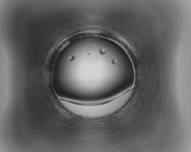 X0000116651448200912211438