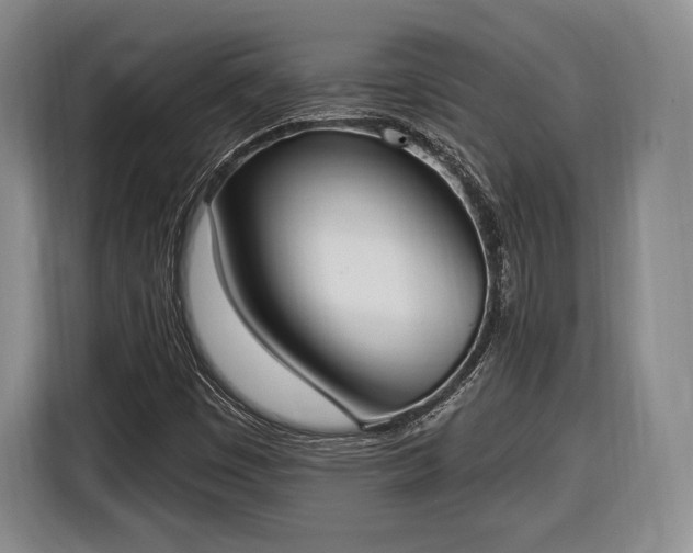 X0000116651449200912211438