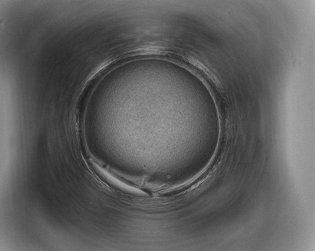 X0000116651450200912211438