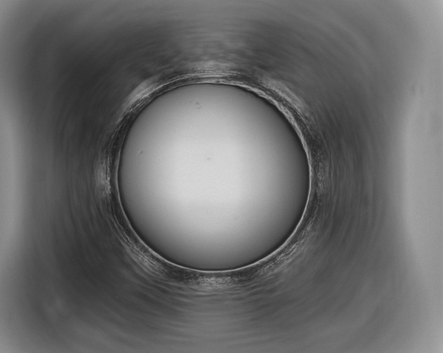 X0000116651451200912211438
