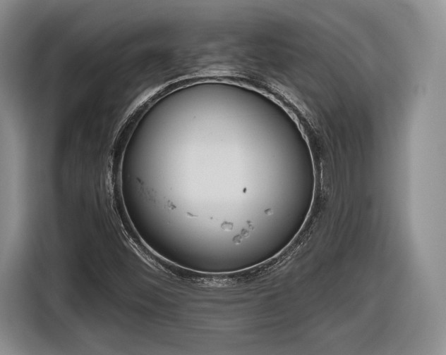 X0000116651452200912211438