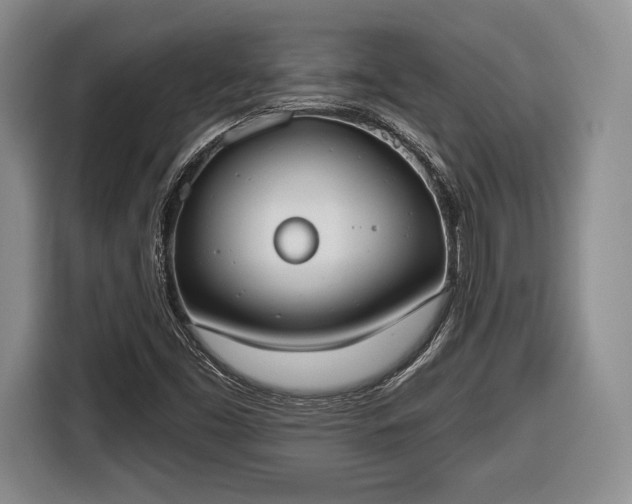 X0000116651453200912211438