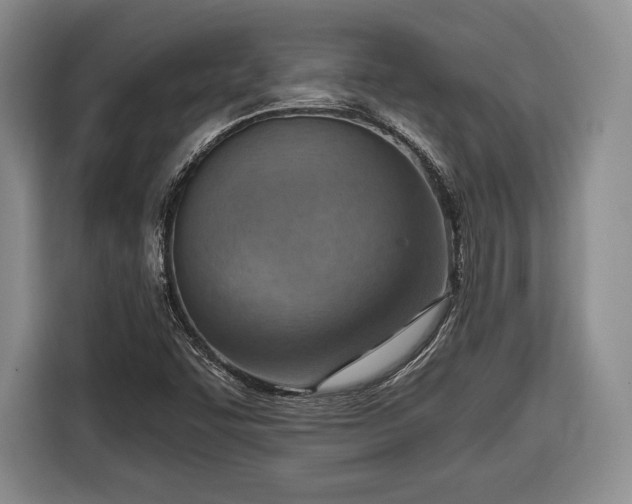 X0000116651455200912211438