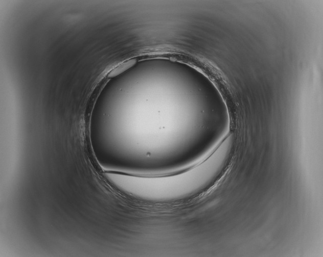 X0000116651457200912211437