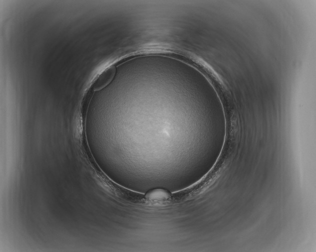 X0000116651461200912211437