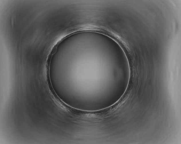 X0000116651463200912211437
