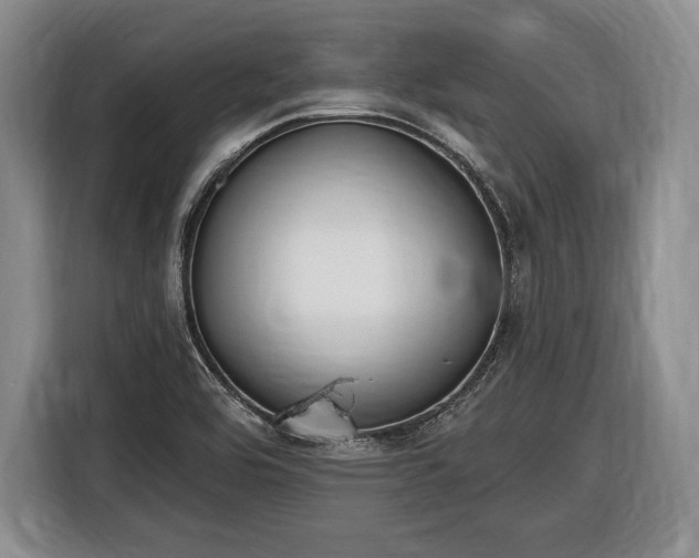 X0000116651464200912211437