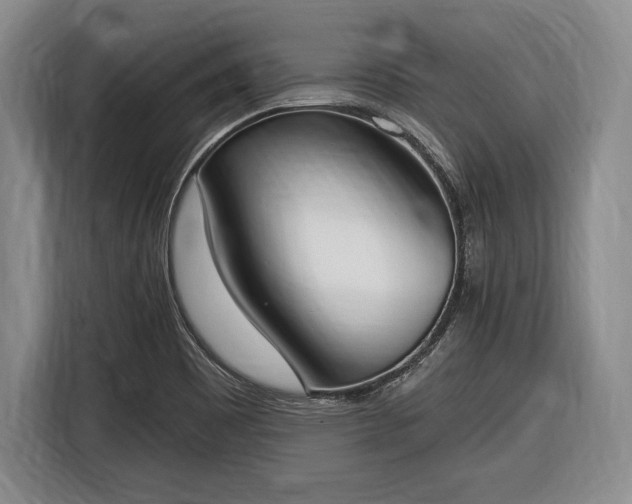 X0000116651465200912211437