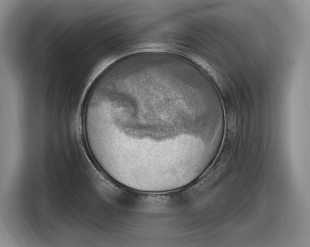 X0000116651466200912211437