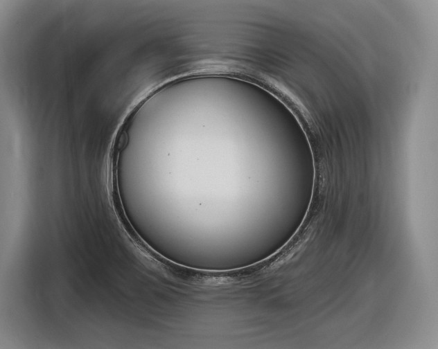 X0000116651467200912211437