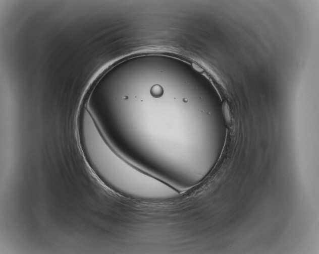 X0000116651468200912211437