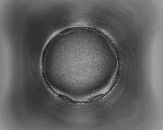 X0000116651469200912211437