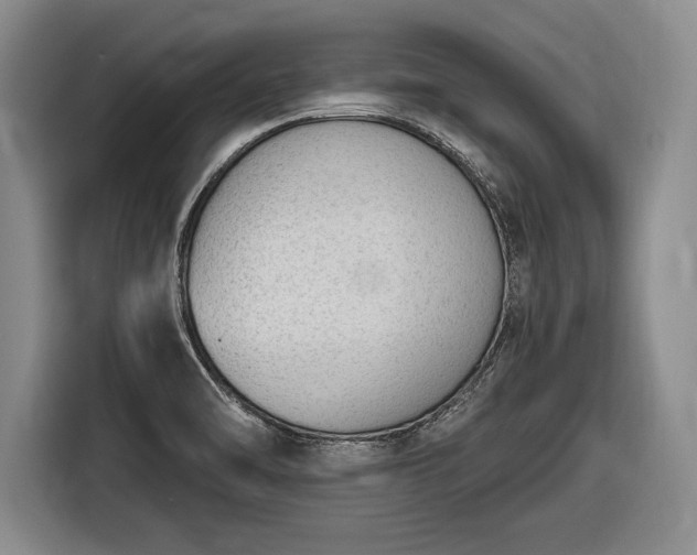 X0000116651470200912211437