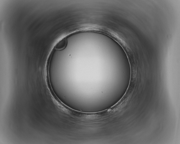 X0000116651471200912211437