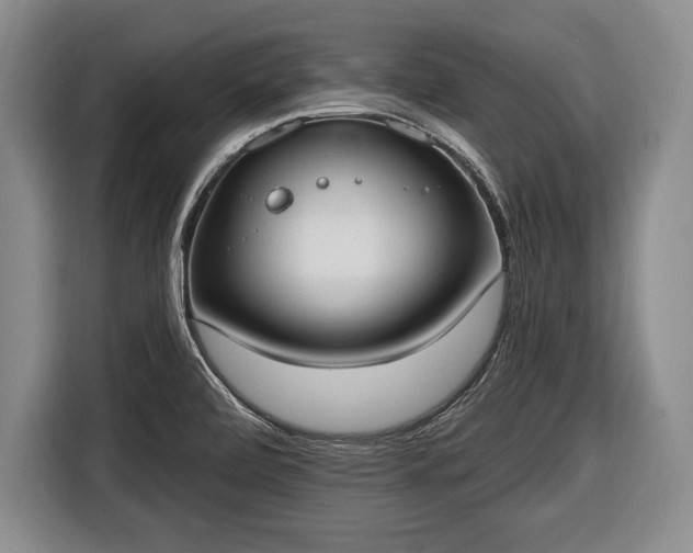 X0000116651472200912211437