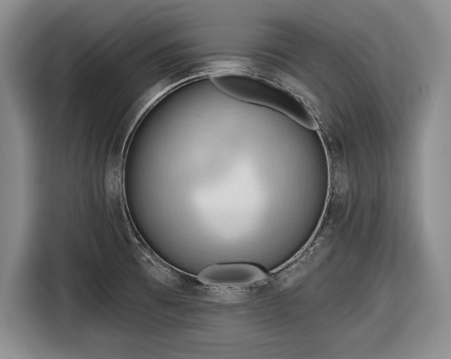 X0000116651473200912211437