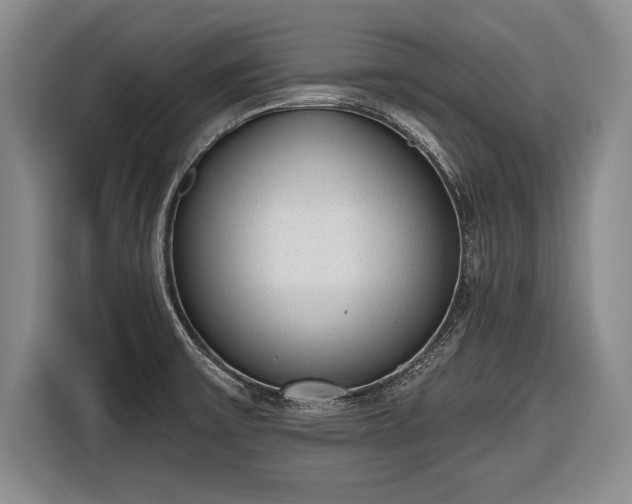 X0000116651475200912211437
