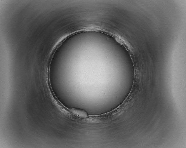 X0000116651476200912211437