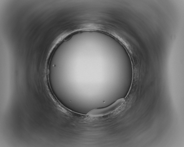 X0000116651477200912211437